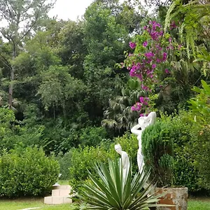 Domus Espaço In Sol E Natureza Apartamento